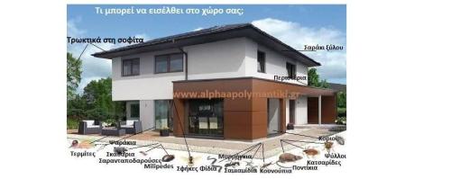 ALPHA ΑΠΟΛΥΜΑΝΤΙΚΗ