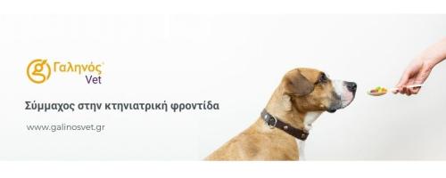 Γαληνός Vet