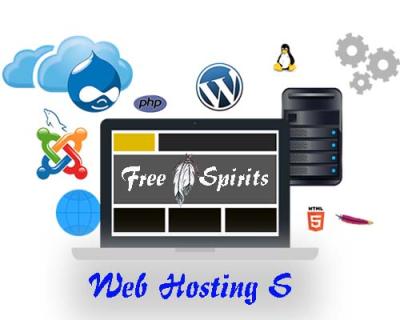 Web Hosting S